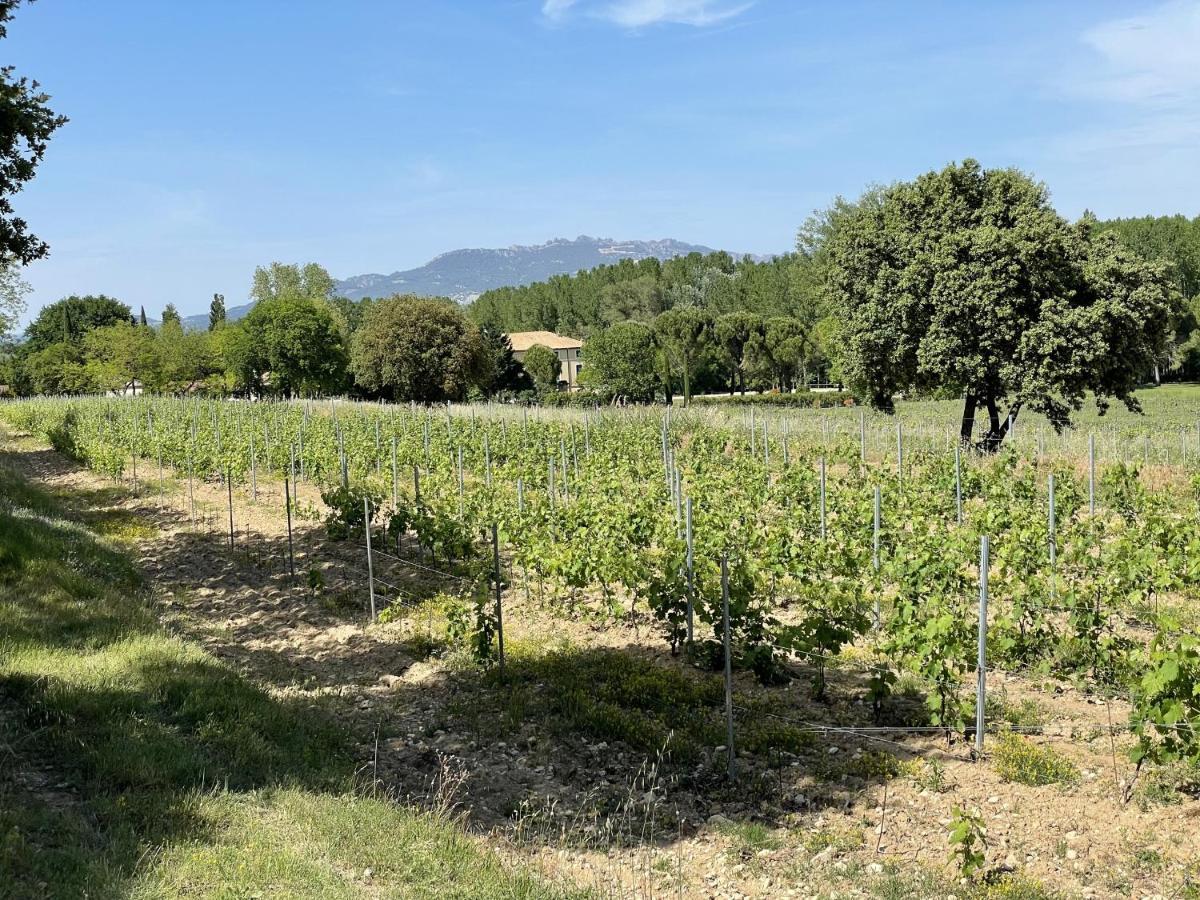 Chateau Talaud Loriol-du-Comtat Экстерьер фото