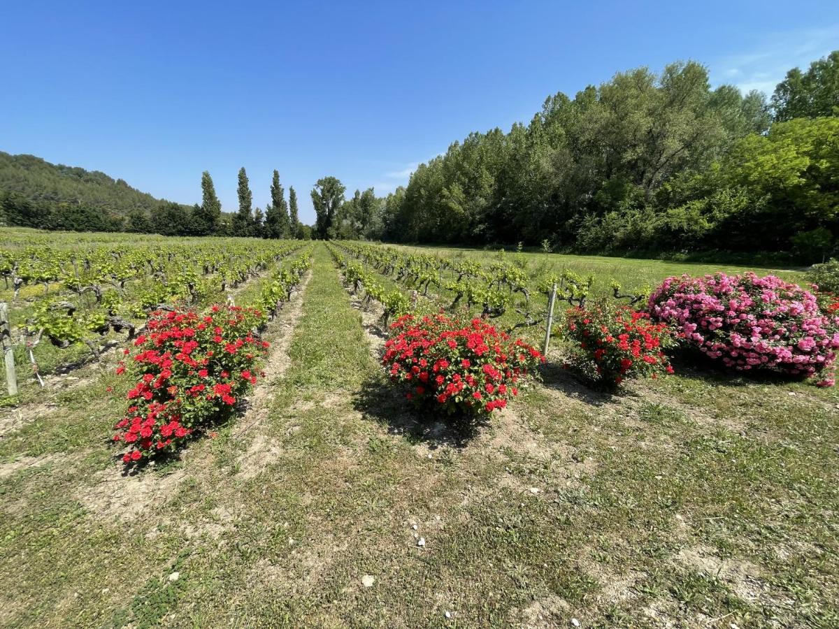 Chateau Talaud Loriol-du-Comtat Экстерьер фото
